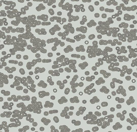 bacteria 990201