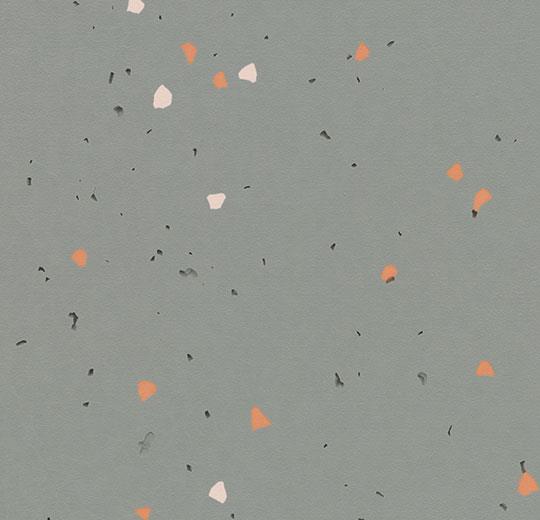 51216 vivid pigeon
