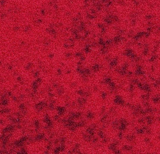 s290031_t590031 cherry