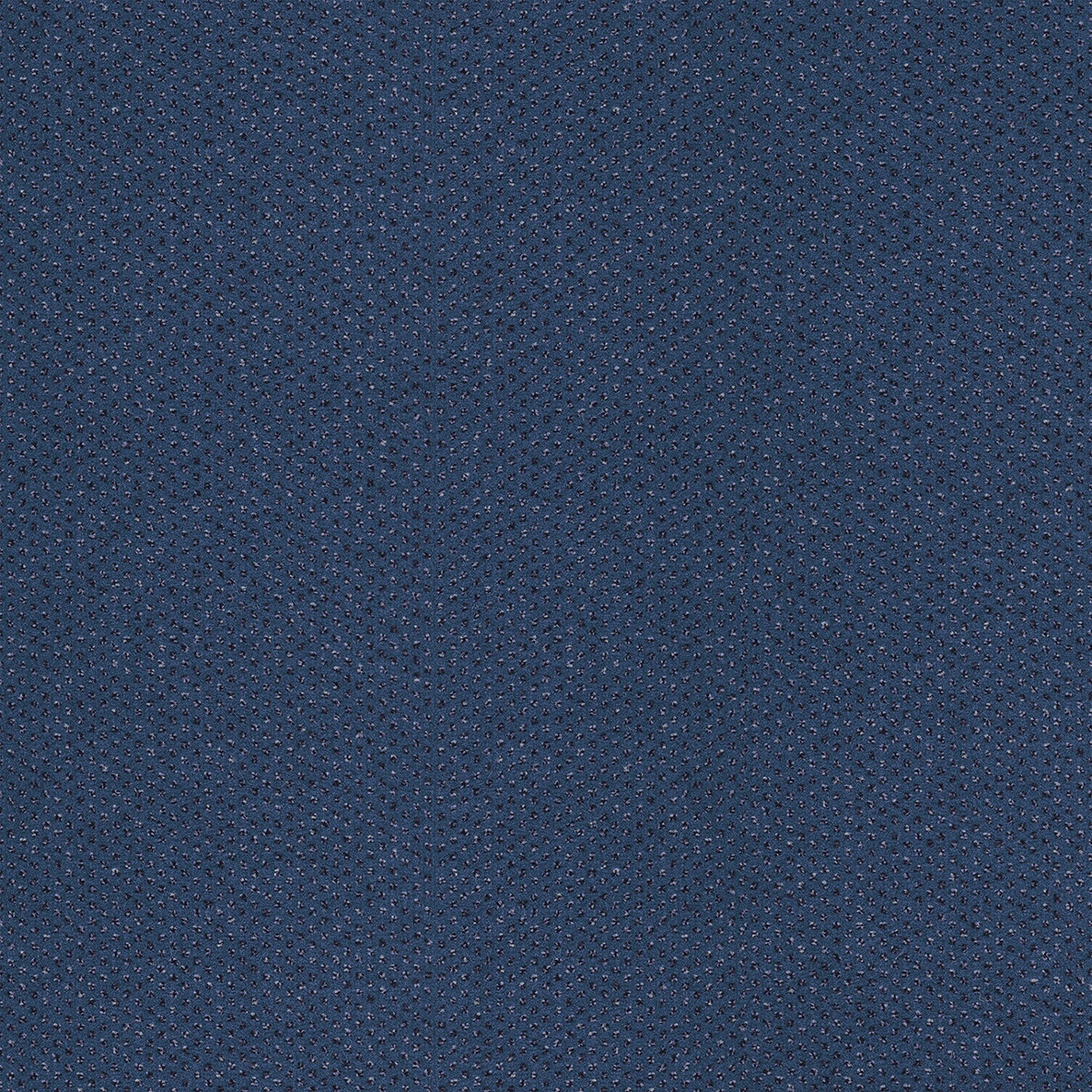 Tapibel 60960
