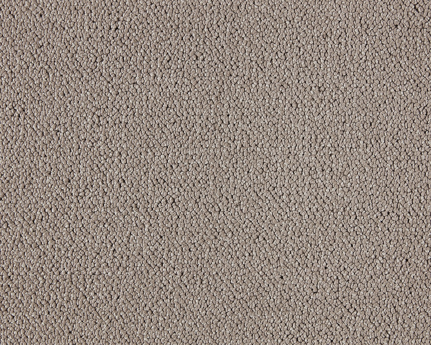 LANO Moon 260 Camel