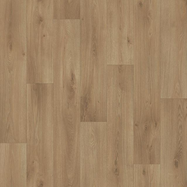 Acczent Pro SAMSON 1