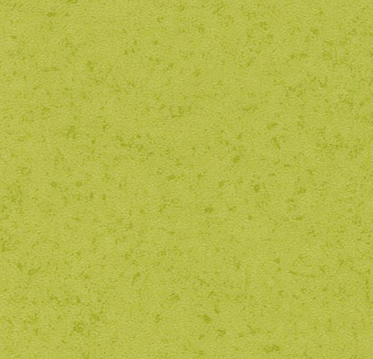 432208 lime