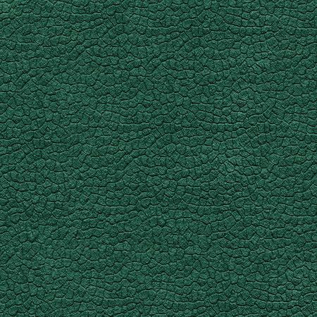 P14 DARK GREEN