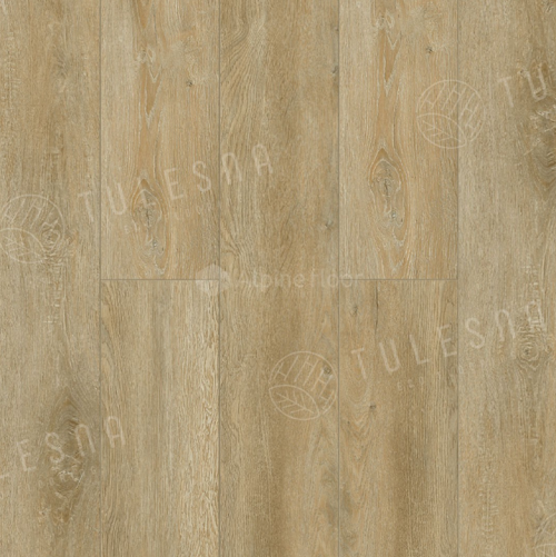 FLORI 1004-16