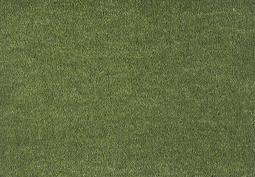 Dream 591 Moss 1