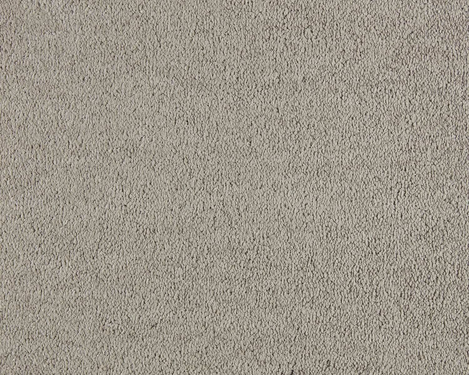 Incasa 260 Camel
