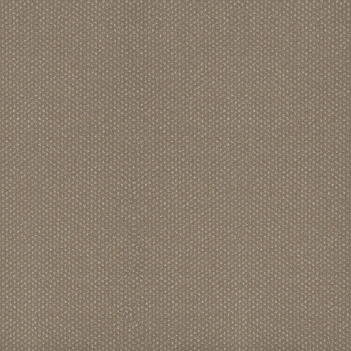 MILANO-II-609_20