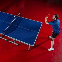 DLV Active Sports Table Tennis