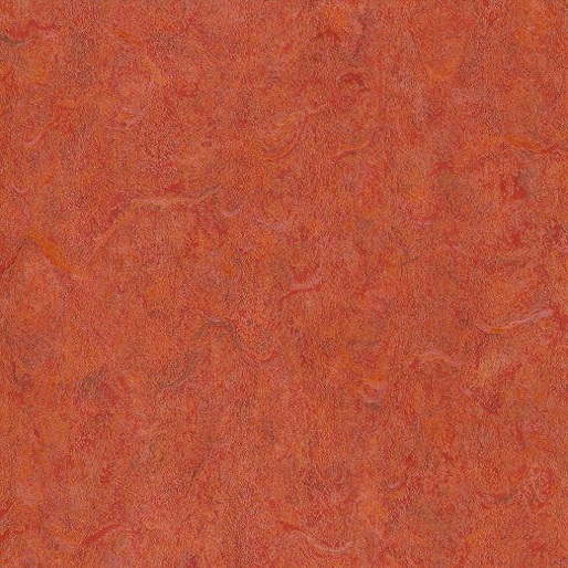 Forte 4213-475