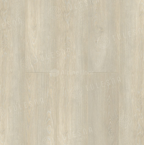 DIRETT0 1004-1
