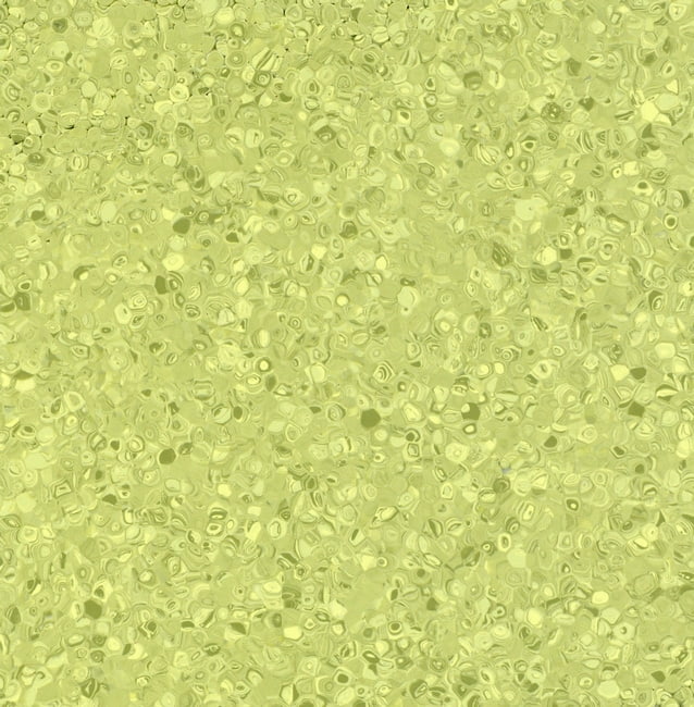 Grabo Fortis Kiwi