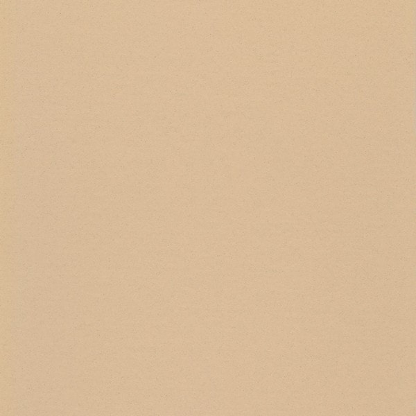 0043 Neutral Beige