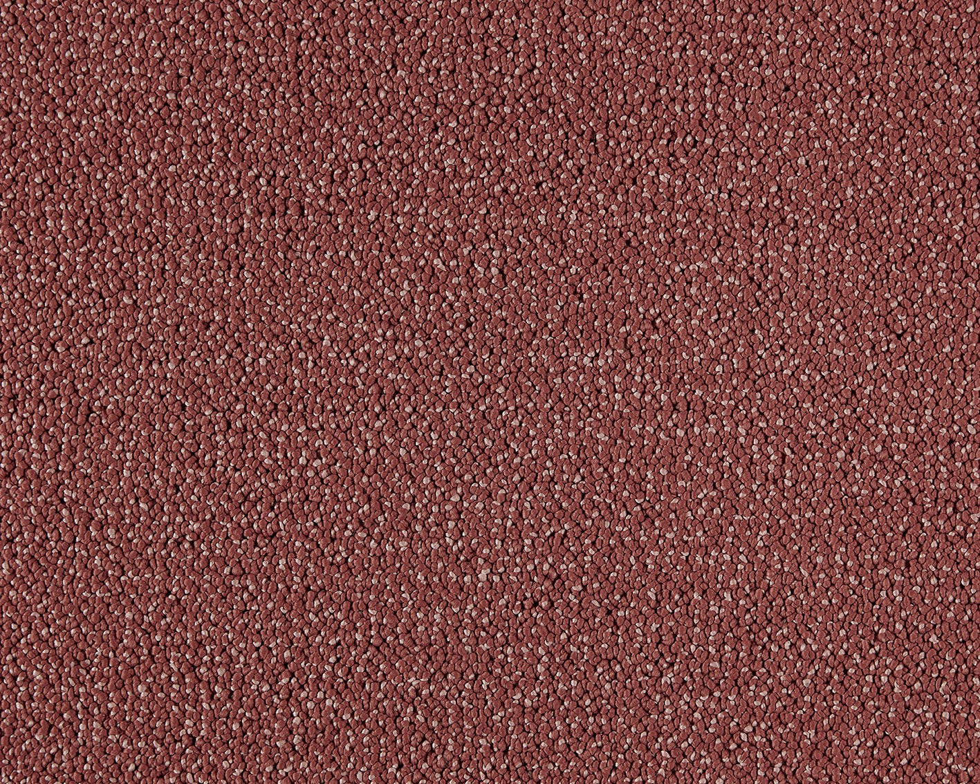 LANO Moon 120 Coral