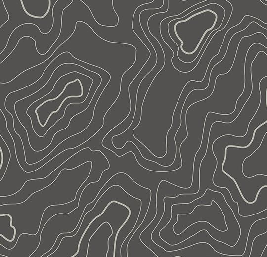 433919 grey