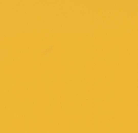 430825, 420825 buttercup