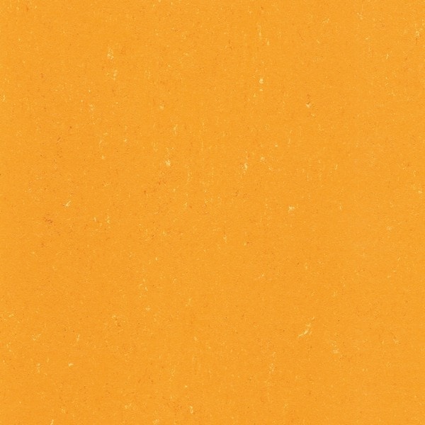 0171 Sunrise Orange