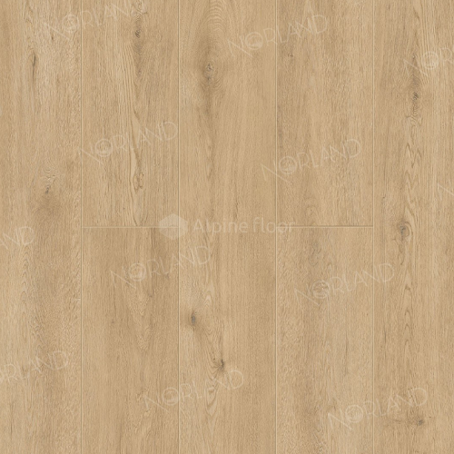 Dor 1001-3