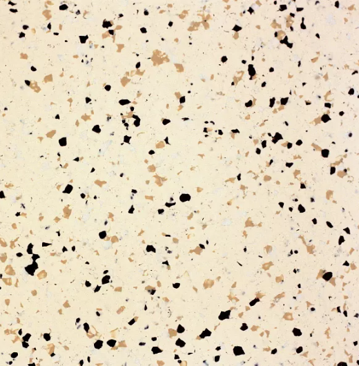 Pure Space Conductive 816 Butter
