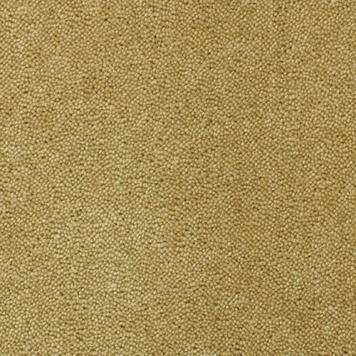 CREATUFT Sheba 1031