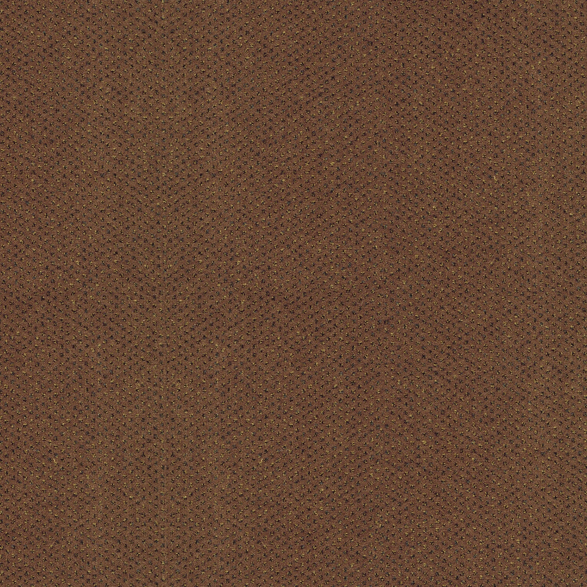 MILANO-II-609_38