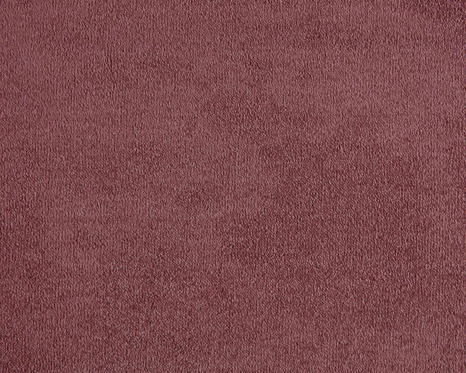 Lior 120 Coral