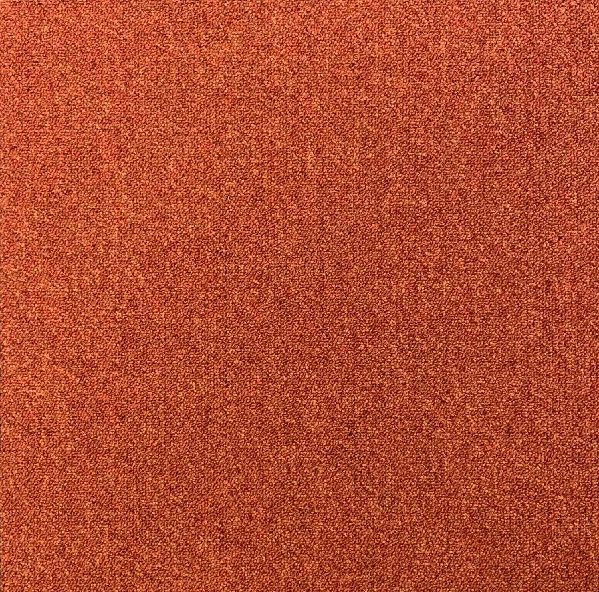 64038