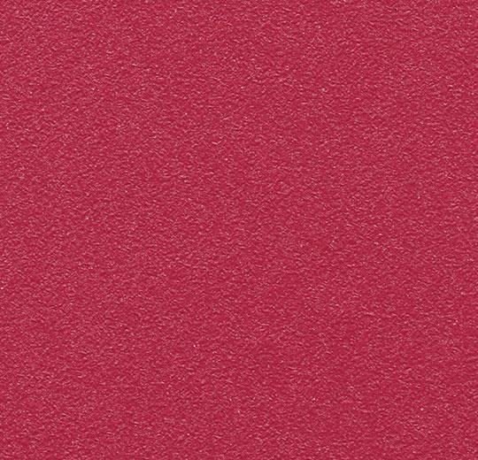 181972 magenta