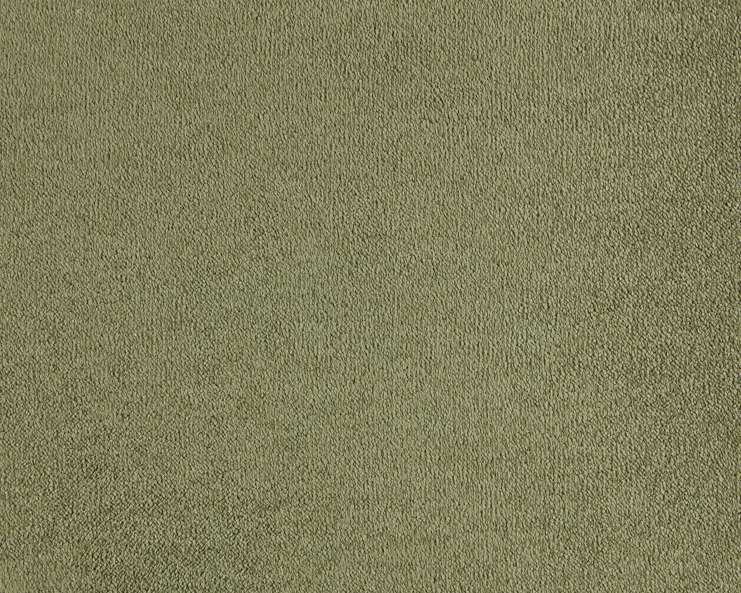 Lior 480 Barley