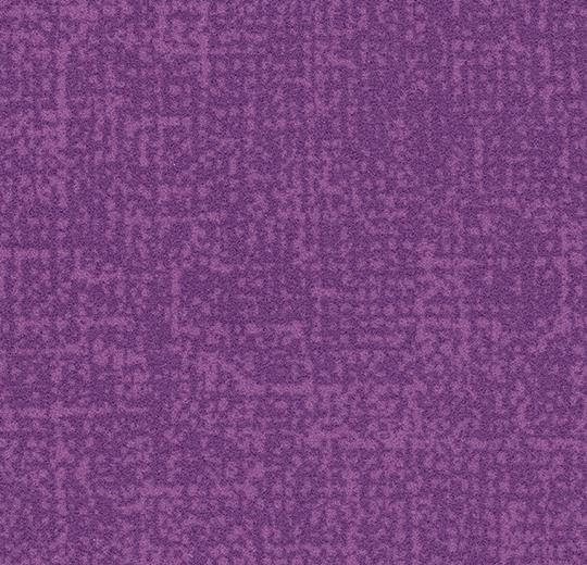 s246034_t546034 lilac