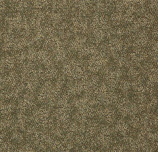 Ethos 568 herb