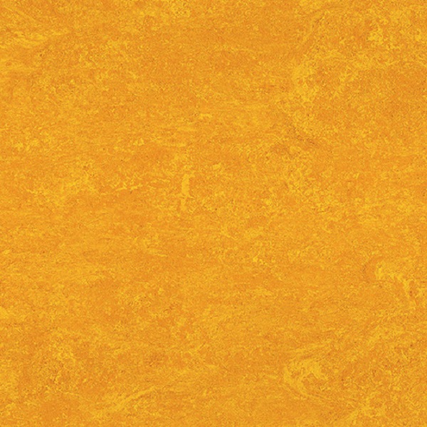 1172 Papaya Orange