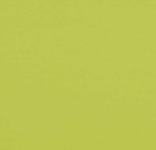 430808, 420808 lime