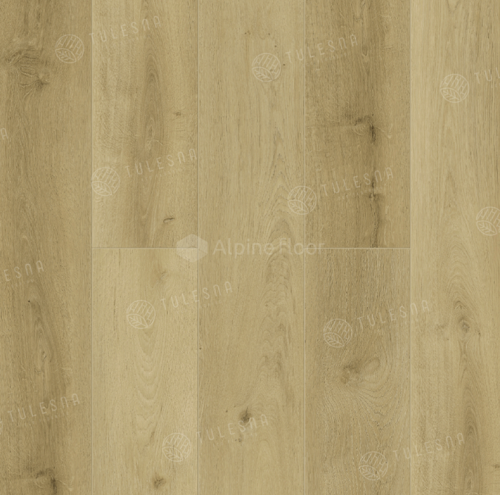 Wieland 1002-15