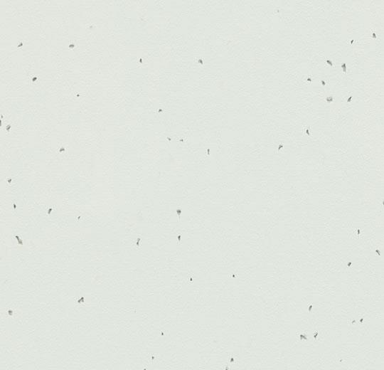 50230 polar