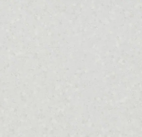 SD 550017 ivory