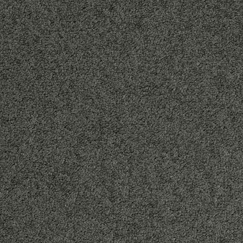 Desso Palatino 9970