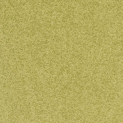 Desso Palatino 6431
