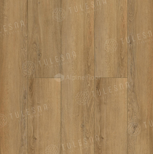 SINGOLO 1004-10