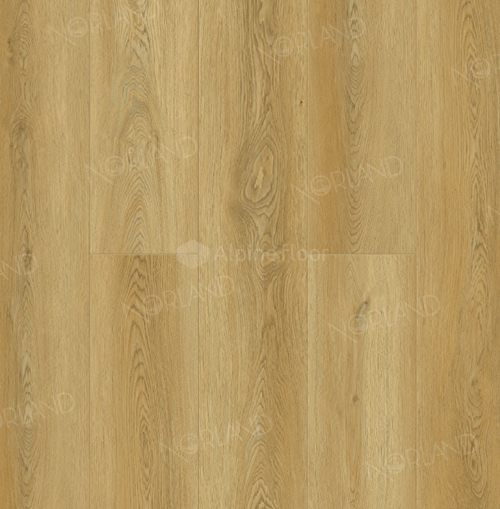 Vold 1022-11