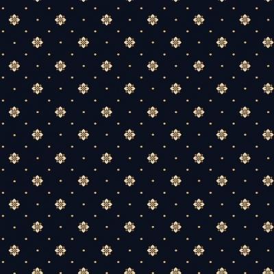 Elegance se009 21a18