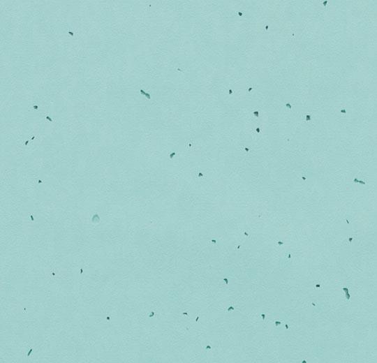 50218 spearmint