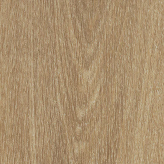 60284CL5 natural giant oak