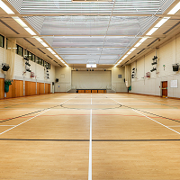 DLV Active Sports Wood