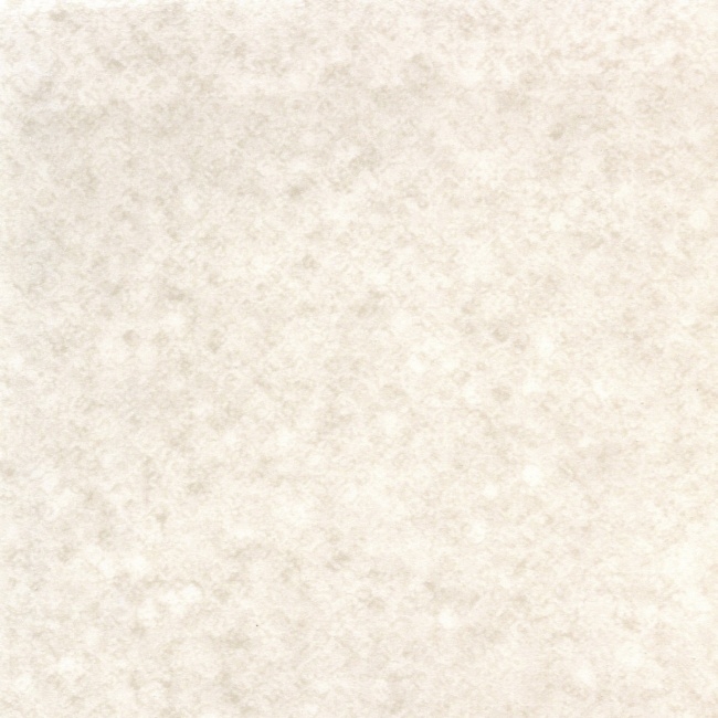 Evolution 4253-466-4