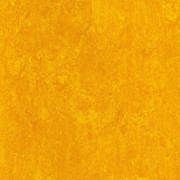 0172 papaya orange 2,5 мм