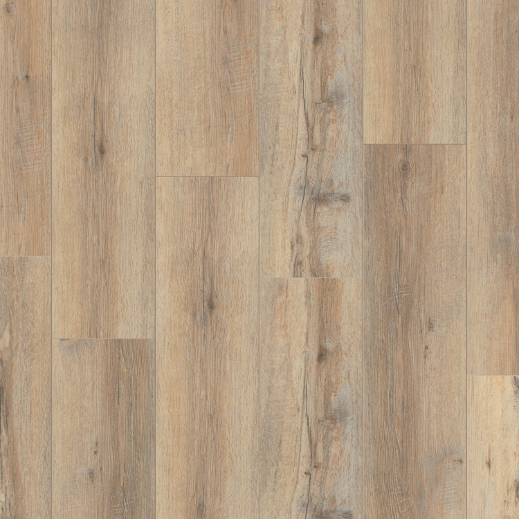BLACKWOOD CARLO