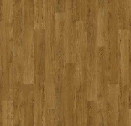010033 English oak