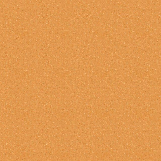 Tempo Plus 1011