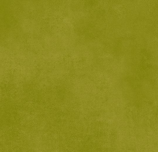 4330778, 43C30778 kiwi